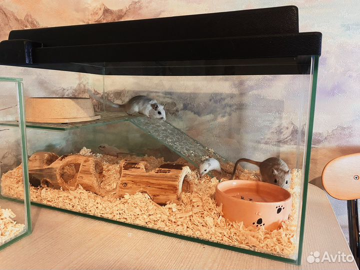 Аквариум террариум черепашник