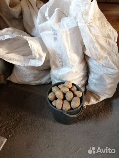 Продам картофель с доставкой
