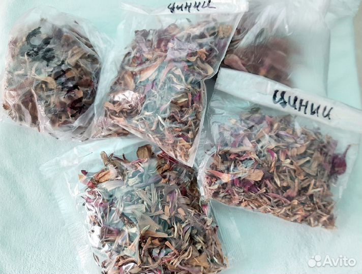 Семена цветов-Цинии,Бархотки,Ночн.красав.Цуккини