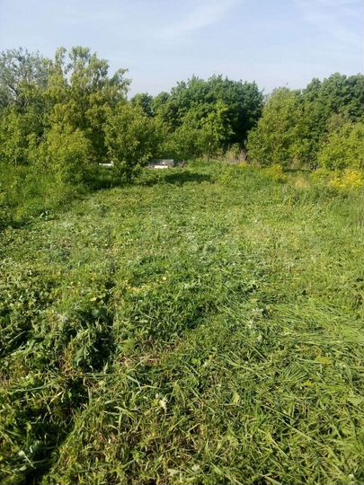 Участок 10 сот. (СНТ, ДНП)