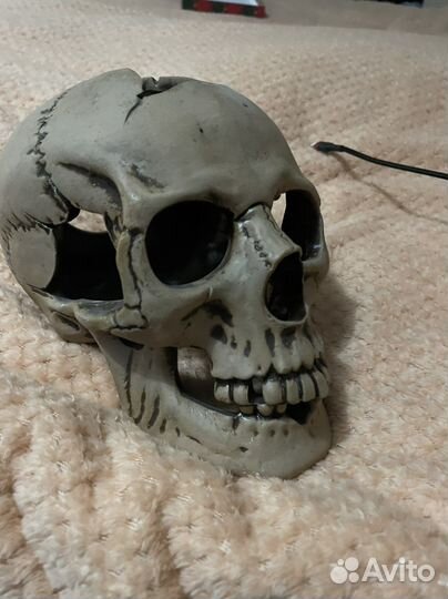 Череп большой, декорация для аквариума террариума