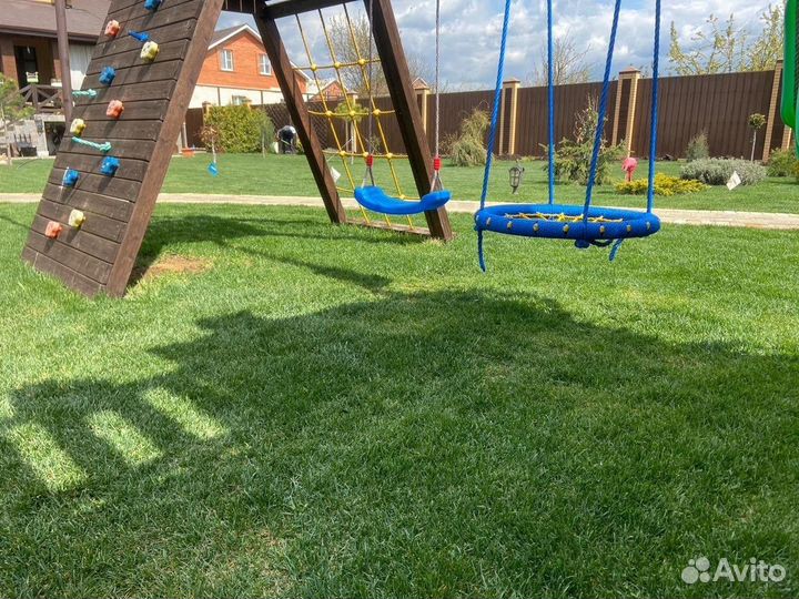 Газон в рулонах живой