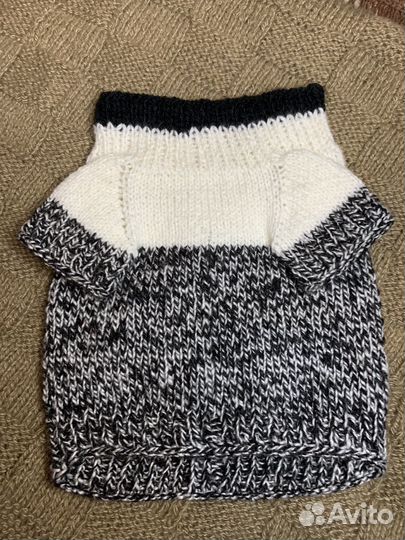 Одежда для животных