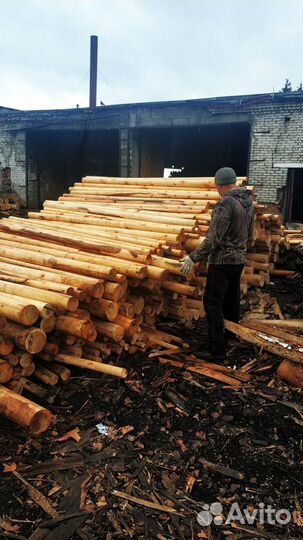 Дрова березовые