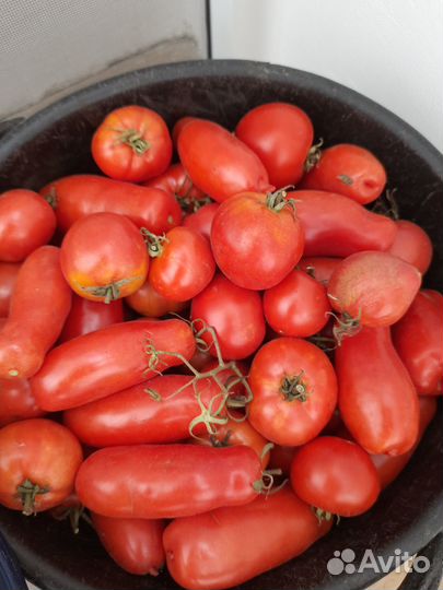 Помидоры, чеснок, перец