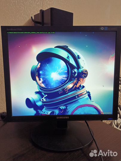 Монитор Samsung E1920NR 19