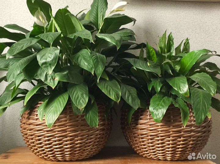 Кашпо из искусственного ротанга