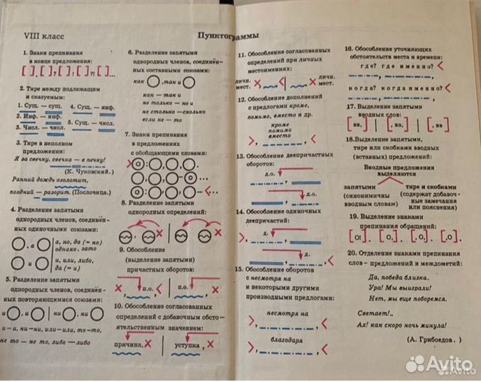 Руский язык 8 9 класс Практика и Теория Пичугов