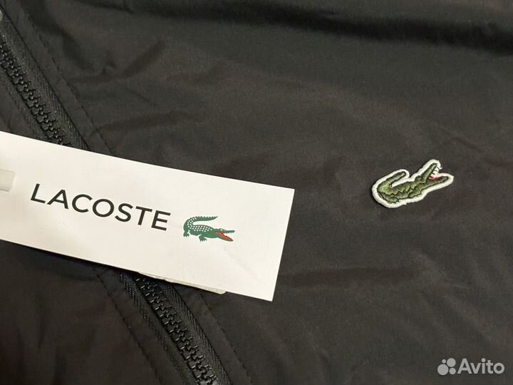 Бомбер lacoste новый на осень