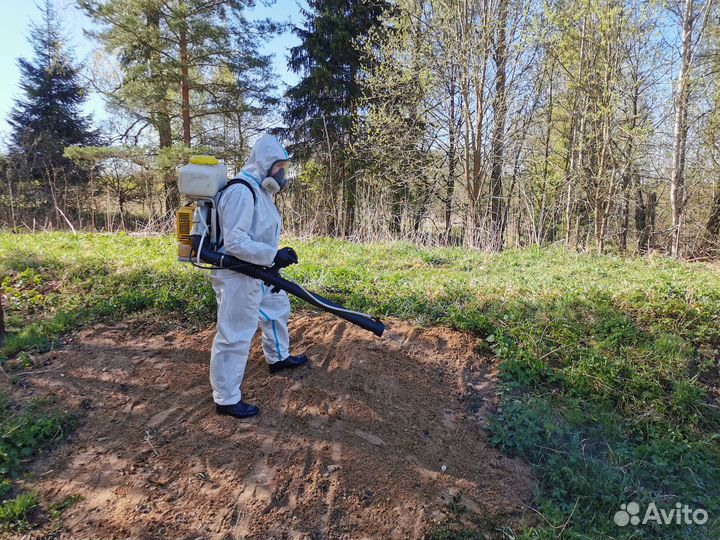 Обработка от всех видов вредителей