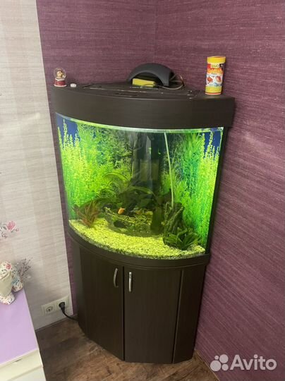Аквариум 180л