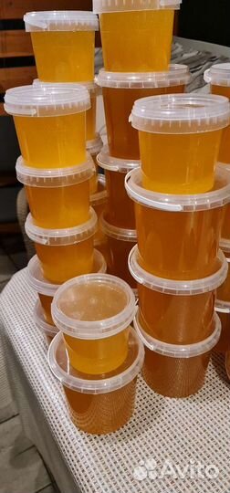 Майский мед 2023