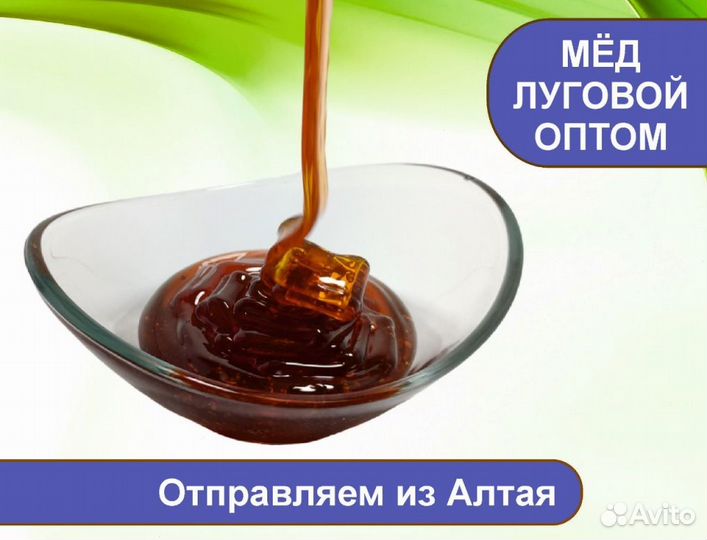 Алтайский мёд (опт.)