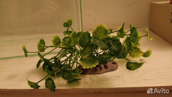 Аквариум 9л