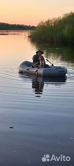 Русский спаниель вязка