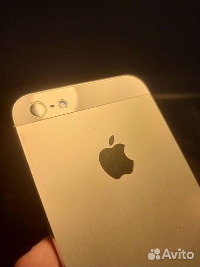 iPhone 5