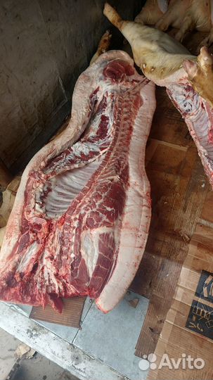 Сало свинина жирные поросята