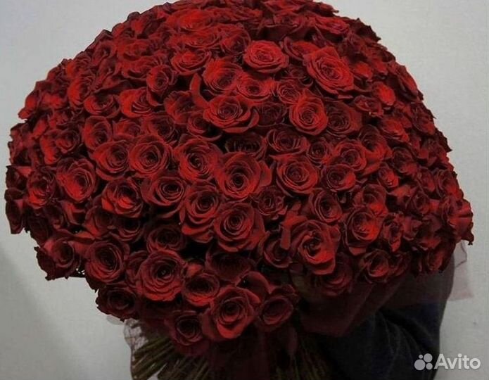 Розы Высокие 150см 160см 170см 180см 190см 2м