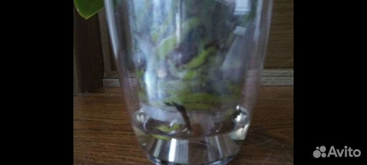 Горшок-вкладыш для орхидей 10 шт