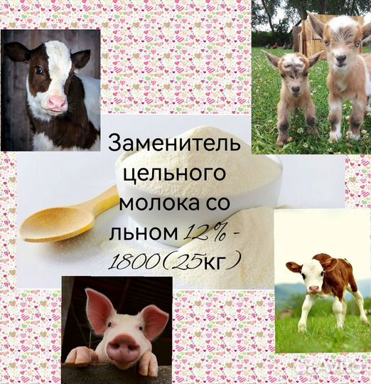 Сухое молоко(зцм)