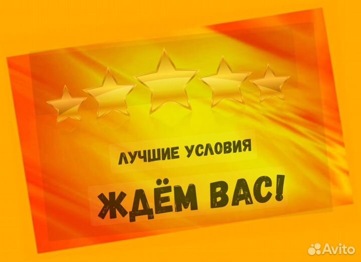 Сборщик заказов Выплаты еженедельно Без опыта М/Ж