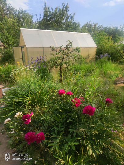 Дача 84 м² на участке 5,8 сот.