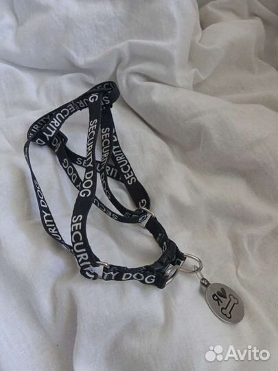 Шлейка и поводок для кошек и собак