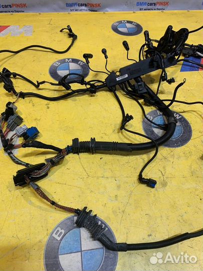 Проводка двигателя BMW X5 E70 2008 1251780172601