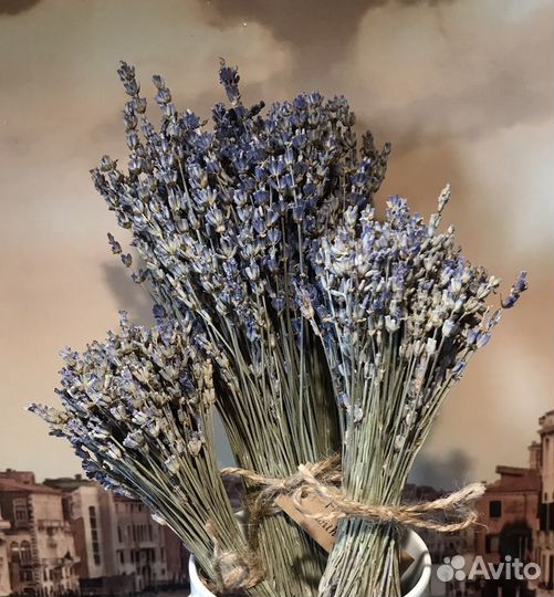 Лаванда Крымская пучок/букетик