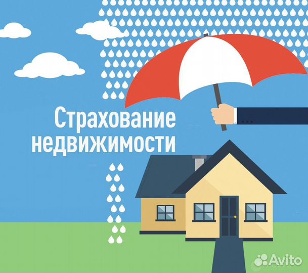 Все виды страхования