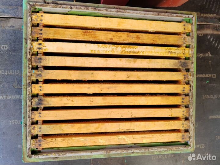 Сушь для пчел