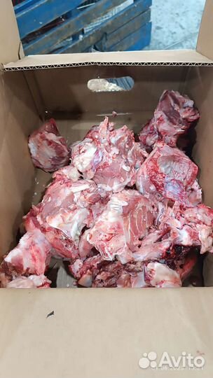 Фарш мясной, обрези, кости говяжьи для собак