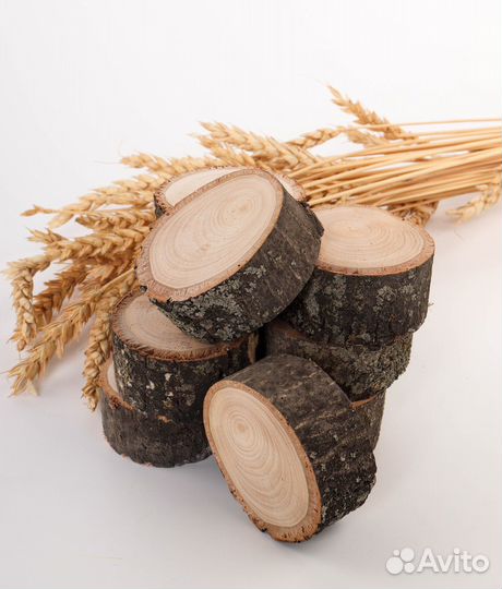 Спилы дерева для творчества