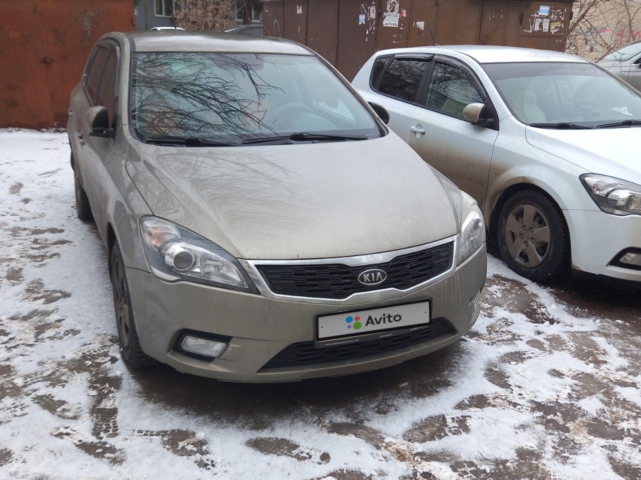 Kia Ceed: фото владельца