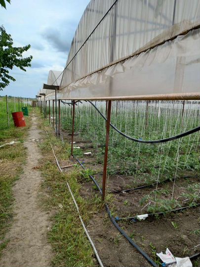 Дом 80 м² на участке 23 сот.