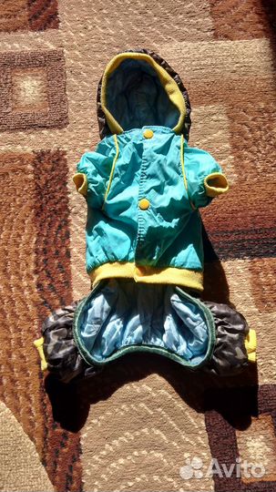 Одежда для маленьких собак