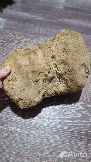 Коряги дрифтвуд