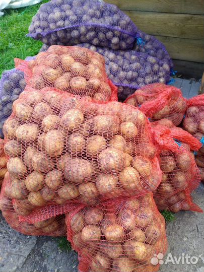 Картофель деревенский