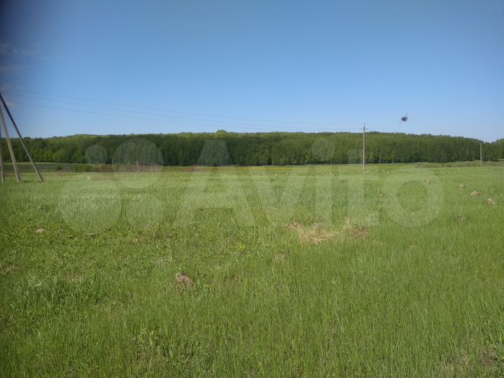 Участок 6,1 га (СНТ, ДНП)