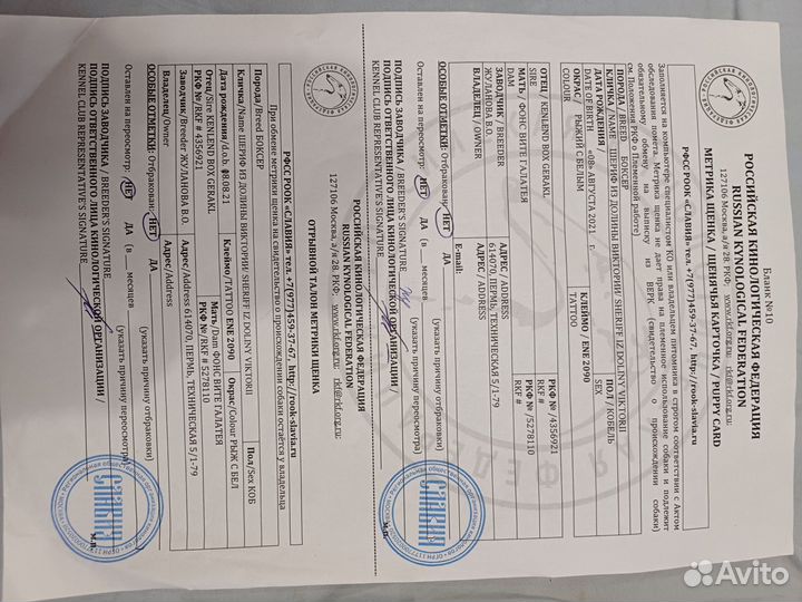 Немецкий боксер