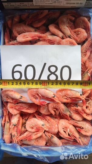 Креветка магаданская