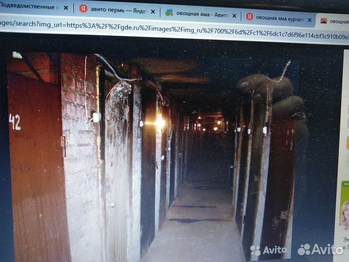 Овощная яма