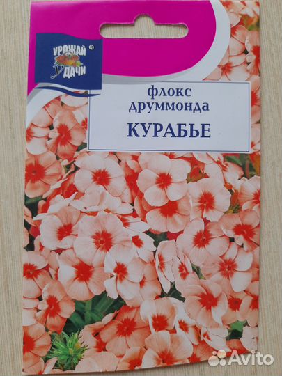 Рассада цветов