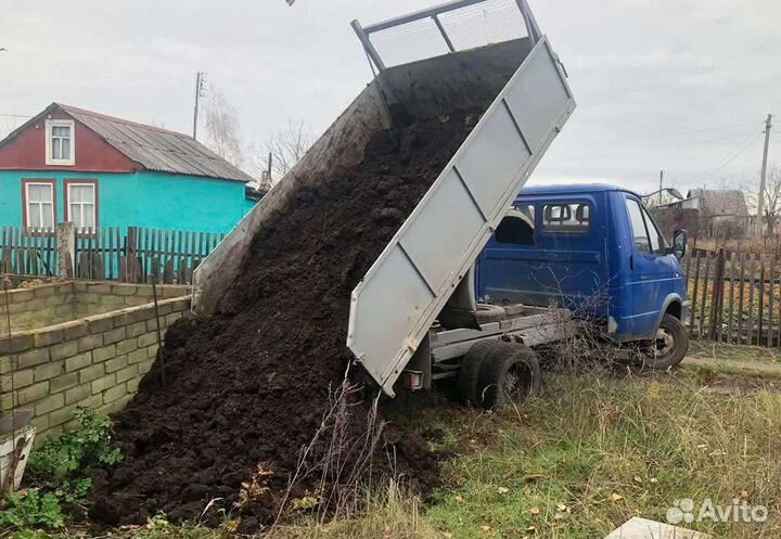 Перегной навоз крс