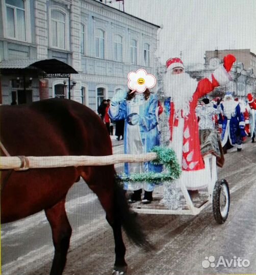 Двуколка для лошади