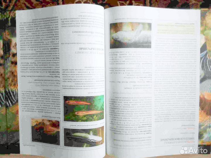 А.С.Полонский Рыбы аквариумов и декоративных водоё