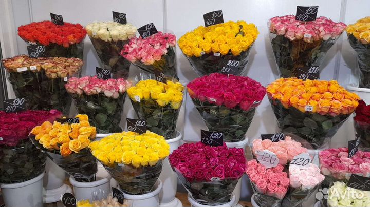 Цветы Волгоград Волжский оптом и в розницу