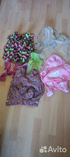 Вещи для маленьких собак