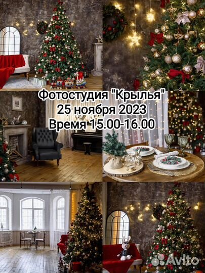 Новогодняя фотосессия