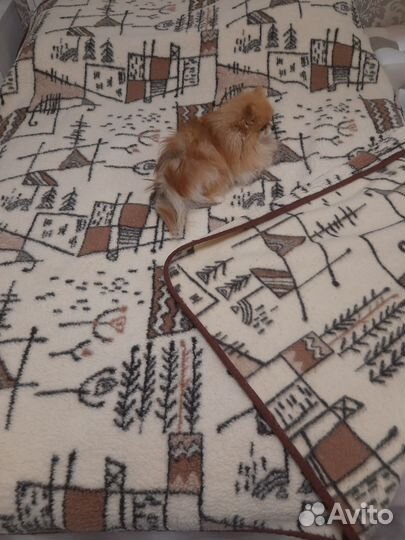 Одеяло из верблюжьей шерсти